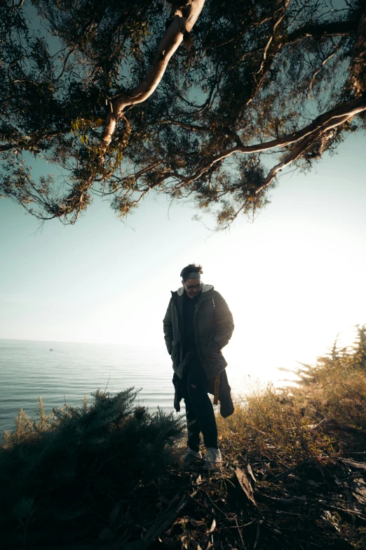 a man standing on top of a hill next to the ocean, in a tree, backlit shot girl in parka, riyahd cassiem, low quality photo