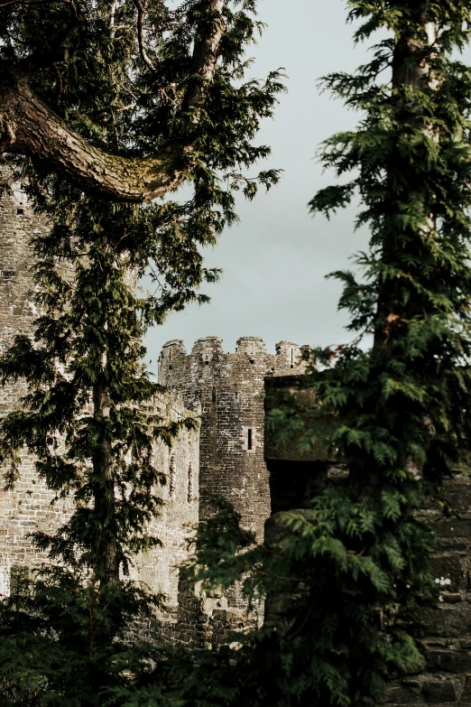 a bride and groom standing in front of a castle, an album cover, pexels contest winner, renaissance, ancient overgrown! ruins, spruce trees, wales, thumbnail