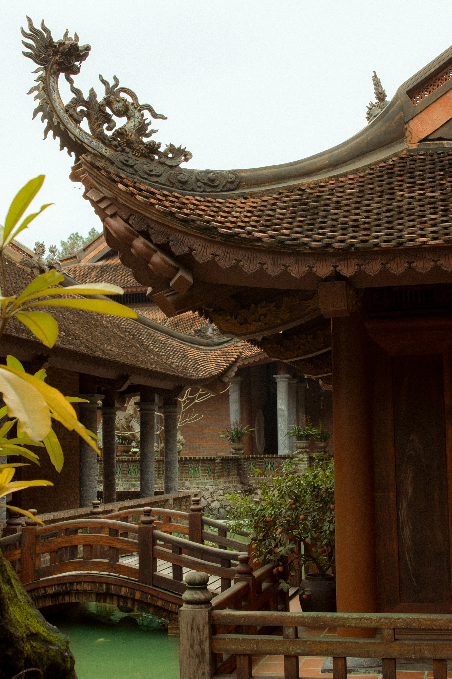 a building with a dragon on top of it, inspired by Li Kan, roof with vegetation, vietnamese temple scene, patio, brown