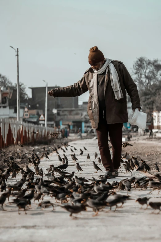 a man standing in front of a flock of birds, pexels contest winner, old man doing hard work, bird poo on head, winter season, stepping on a miniature city