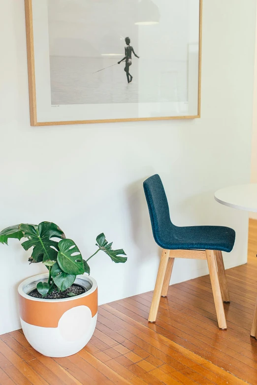 two chairs and a table in a room, featured on pinterest, minimalism, large potted plant, detailed product image, detail shot, standing in corner of room