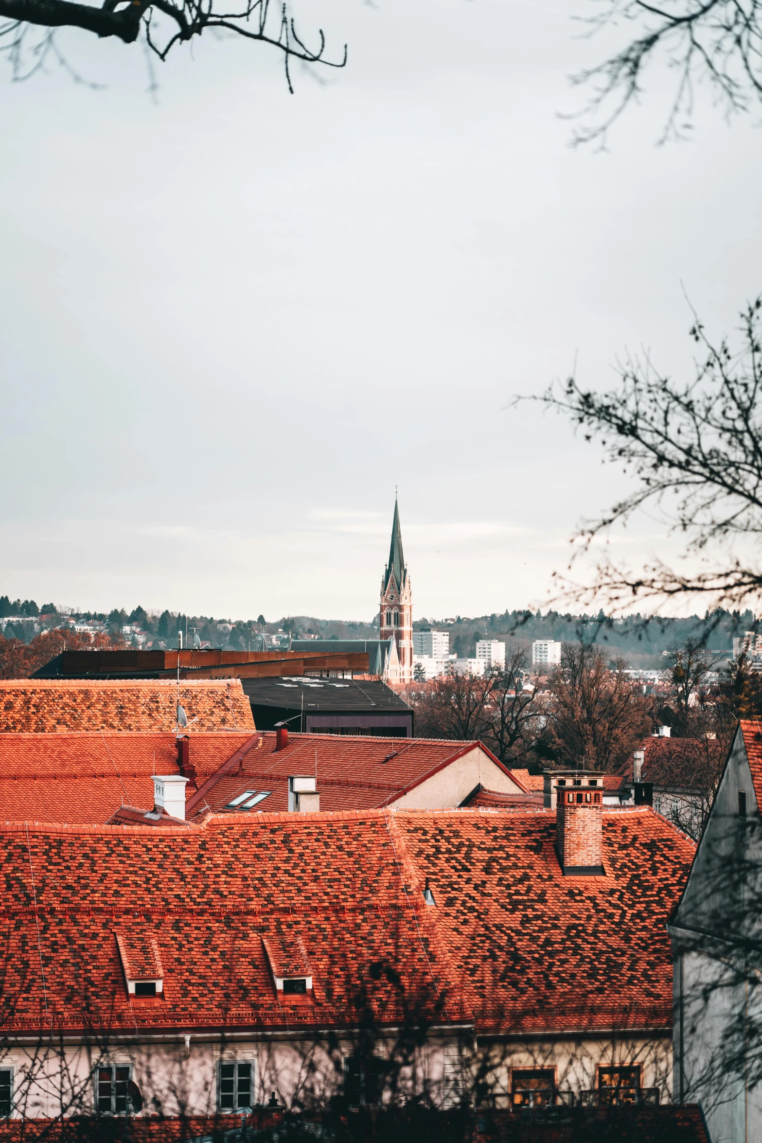 a view of a city from the top of a hill, pexels contest winner, baroque, orange roof, instagram story, in legnica, red trees