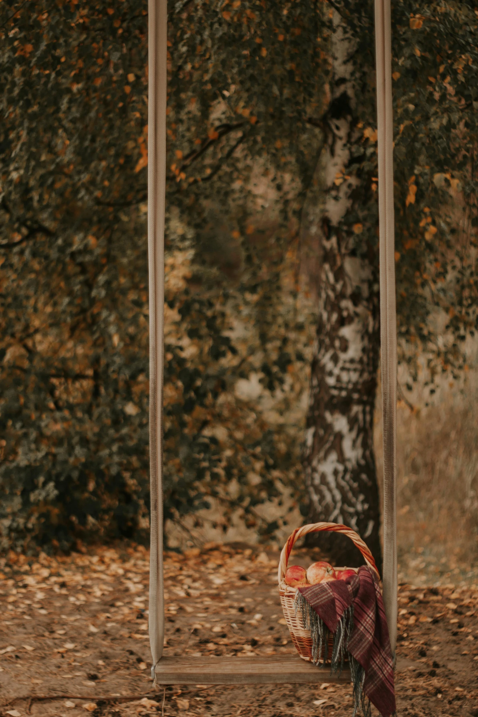 a little girl sitting on a swing in a park, a picture, by Elsa Bleda, conceptual art, renaissance autumnal, 2019 trending photo, medium format. soft light, outdoor photo