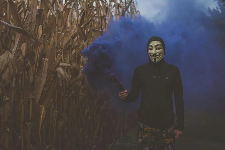 a man in a mask standing in a corn field, pexels contest winner, graffiti, blue smoke, anonymous as a sausage, halloween, avatar image