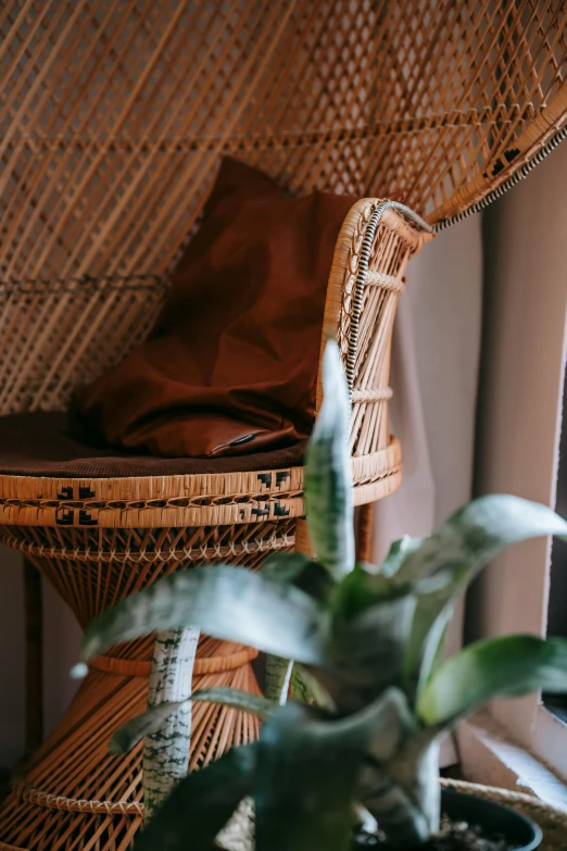 a wicker chair sitting next to a potted plant, brown clothes, close up details, shot with sony alpha, textiles