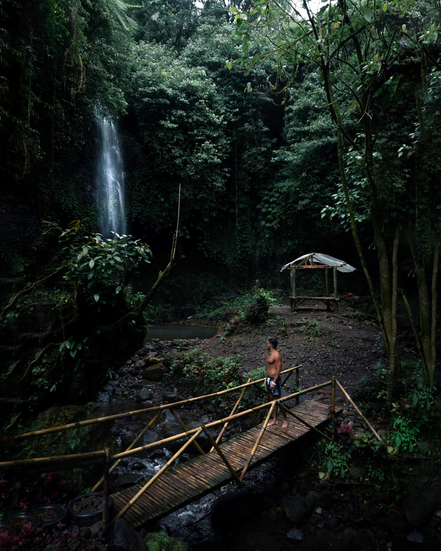 a person standing on a bridge in front of a waterfall, by Daren Bader, sumatraism, bamboo huts, alessio albi, panoramic view of girl, set photo