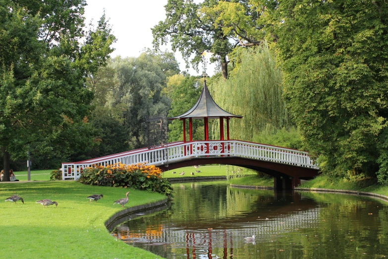 a bridge over a pond in a park, inspired by Petrus Van der Velden, pexels, rococo, red brown and white color scheme, gazebos, delft, 8k resolution”