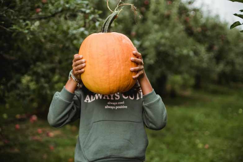 a person holding a pumpkin in front of their face, pexels contest winner, outlive streetwear collection, an olive skinned, cream of the crop, over the shoulder view