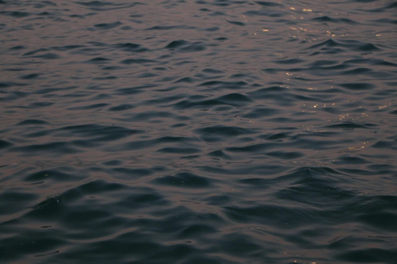 a close up of a body of water with waves, unsplash, tonalism, evening at dusk, videogame still, hq 8k cinematic, alessio albi