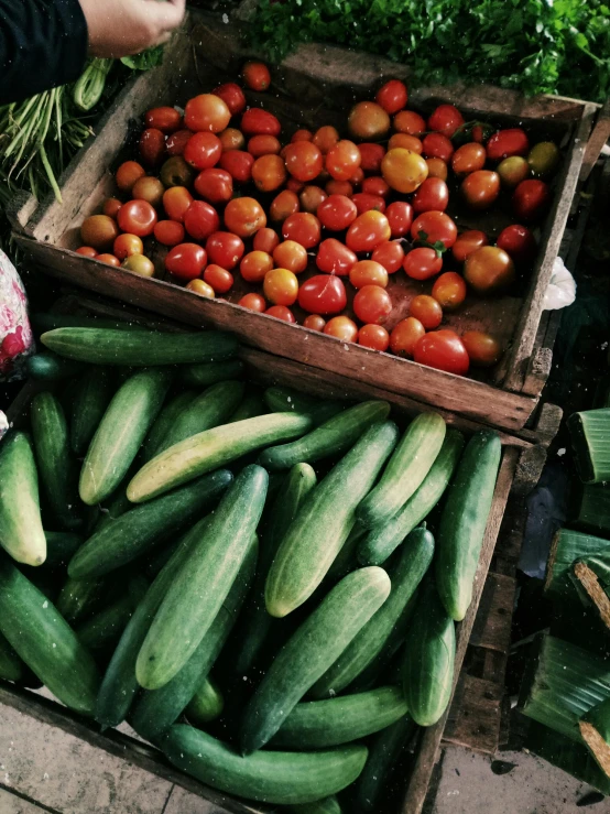 a box full of cucumbers and tomatoes, unsplash, thumbnail, cuba, where a large, market in ancient rome