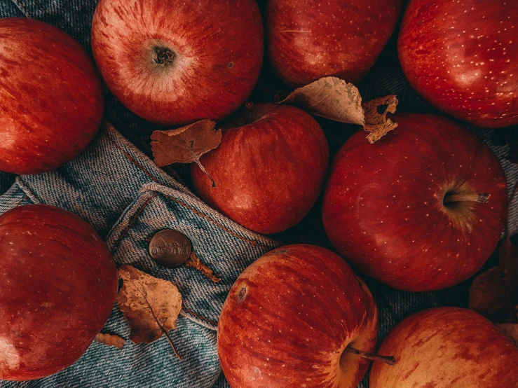 a pile of apples sitting on top of a pair of jeans, pexels contest winner, 🦩🪐🐞👩🏻🦳, rich red colors, cottagecore hippie, background image