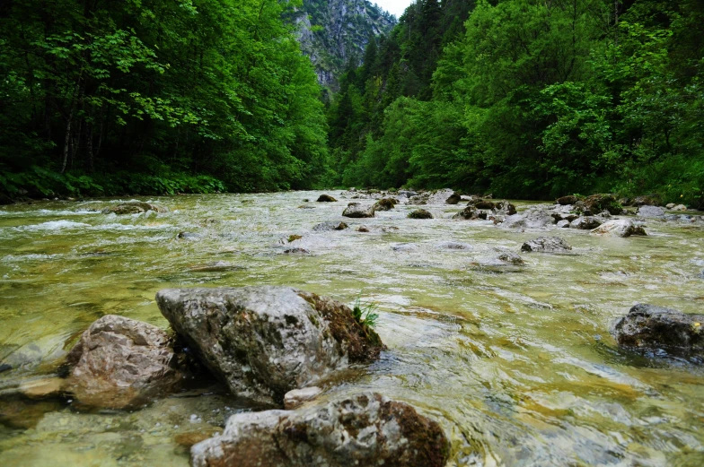 a river running through a lush green forest, by Erwin Bowien, pexels contest winner, hurufiyya, 2 5 6 x 2 5 6 pixels, beer, slovenian, wet rocks