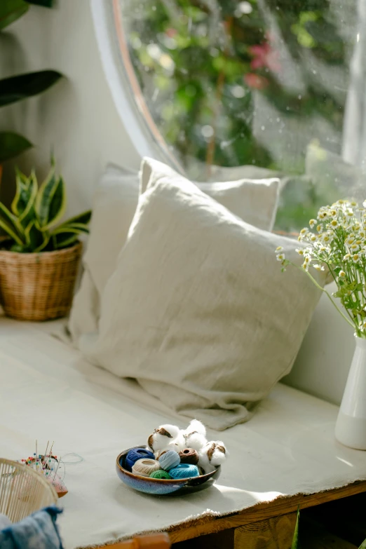 a potted plant sitting on top of a table next to a window, a still life, trending on unsplash, light and space, light beige pillows, lying down, wearing a linen shirt, sitting with flowers