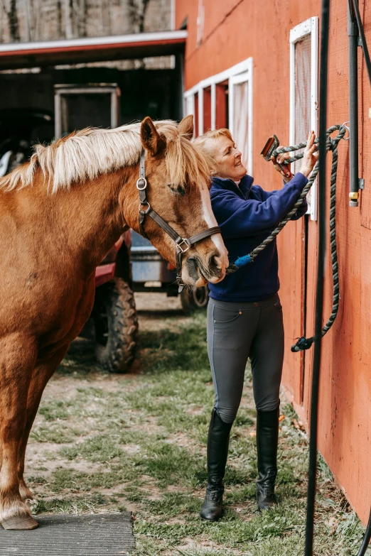 a woman standing next to a brown horse, a photo, by Kristin Nelson, trending on unsplash, hoses, maintenance, blond, rectangle