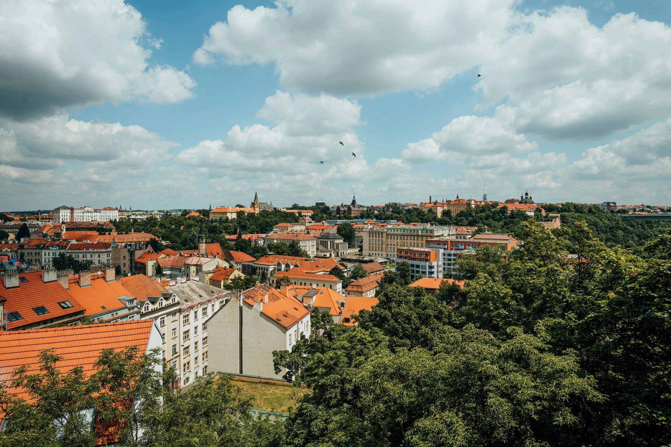 a view of a city from the top of a hill, by Emma Andijewska, square, high resolution photo, on a bright day, ewa juszkiewicz