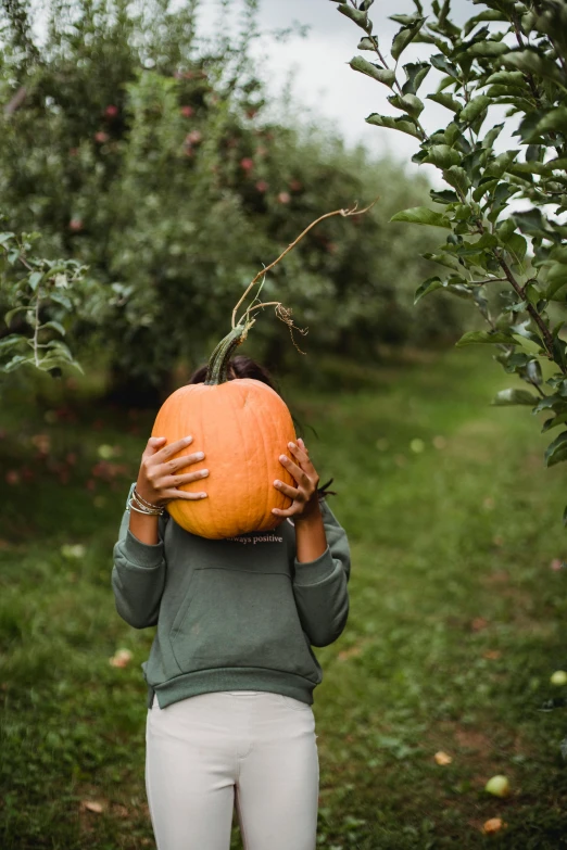 a woman holding a pumpkin over her head in an apple orchard, by Julia Pishtar, unsplash contest winner, face partially obscured, kids, an olive skinned, 15081959 21121991 01012000 4k