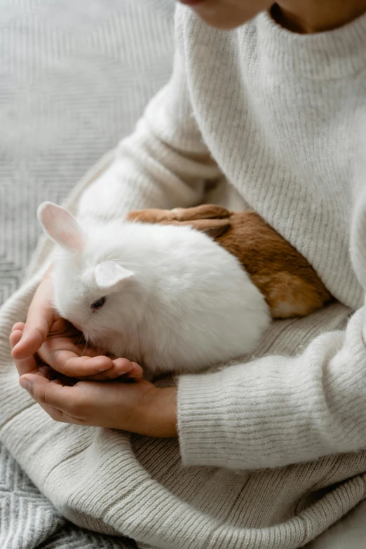 a woman sitting on a bed holding a cat, trending on unsplash, holding a rabbit, wearing a white sweater, laying down with wrists together, rabbit face only