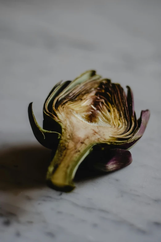 a close up of an artichoke on a table, unsplash, on a gray background, multiple stories, recipe, various posed