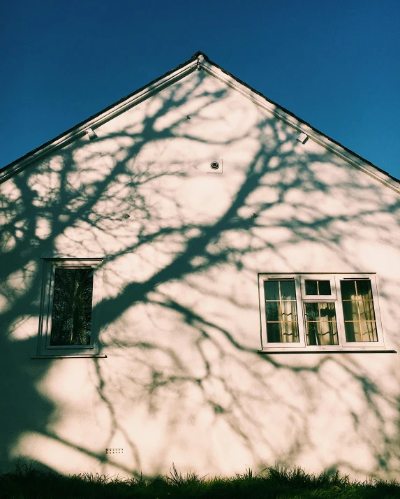 the shadow of a tree on the side of a house, a polaroid photo, unsplash contest winner, light and space, low angle photo, branches, swedish house, from the outside it looks folksy