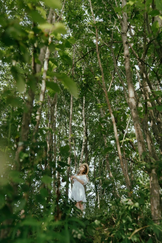 a woman in a white dress standing in a forest, unsplash, happening, ((trees)), mangrove trees, medium format, may)