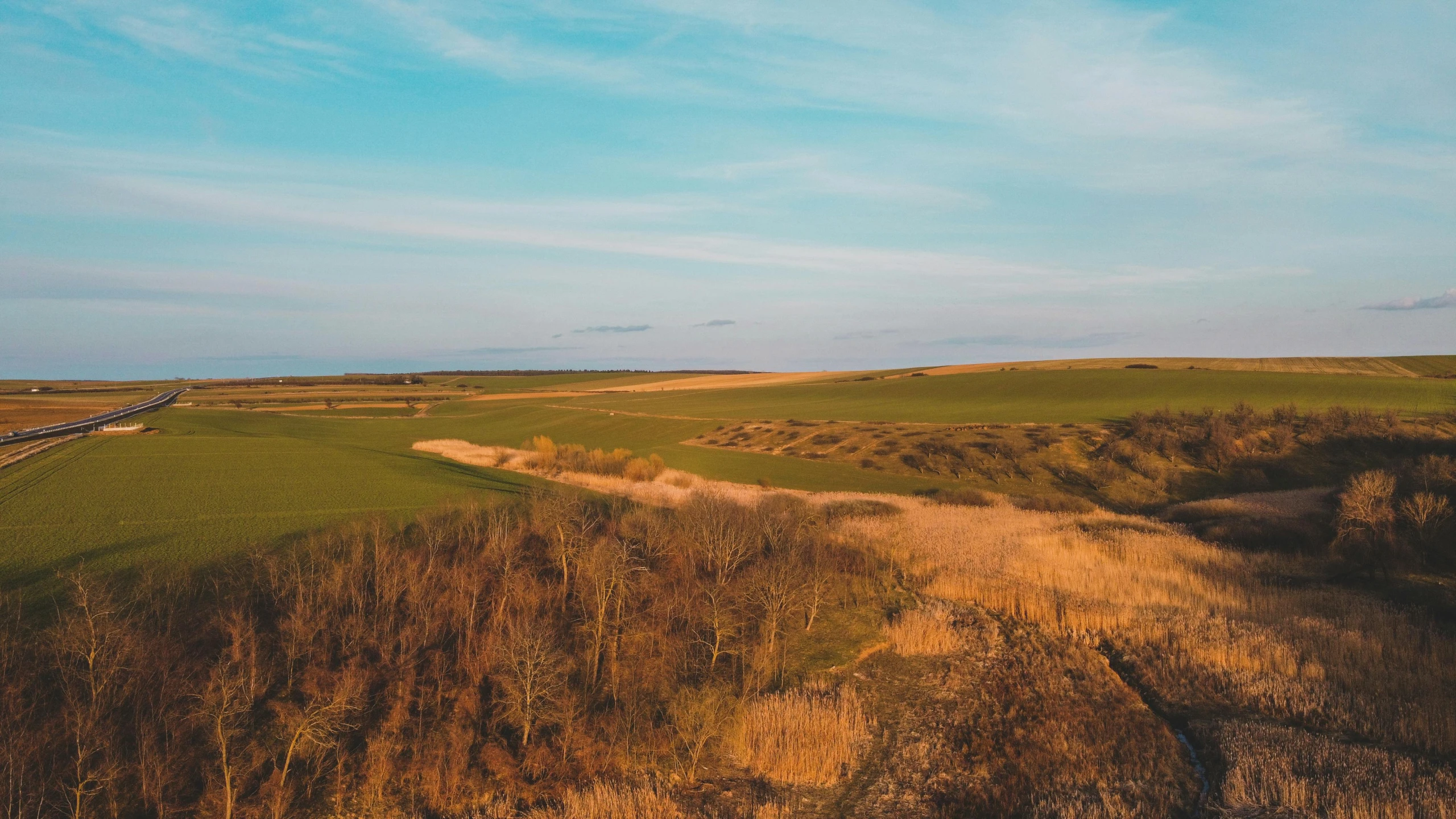 a train traveling through a lush green field, a picture, by Emma Andijewska, unsplash, land art, dunes, victorious on a hill, photograph of april, madgwick