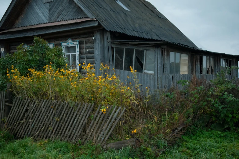 a wooden house sitting on top of a lush green field, an album cover, by Attila Meszlenyi, unsplash, renaissance, soviet town, wilted flowers, фото девушка курит, gray