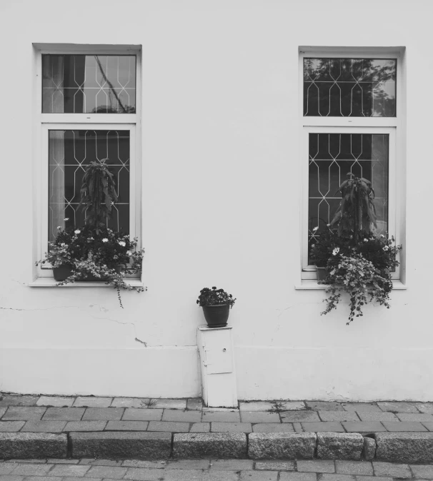 a black and white photo of two windows on a building, inspired by André Kertész, unsplash, with flowers and plants, small scandinavian!!! houses, shot on iphone 6, white houses