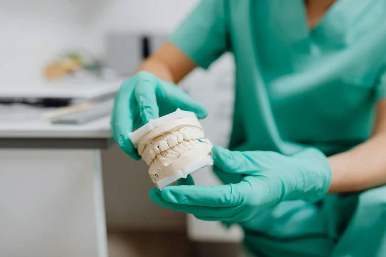 a close up of a person holding a model of a tooth, profile image, surgical supplies, during the day, uniform teeth