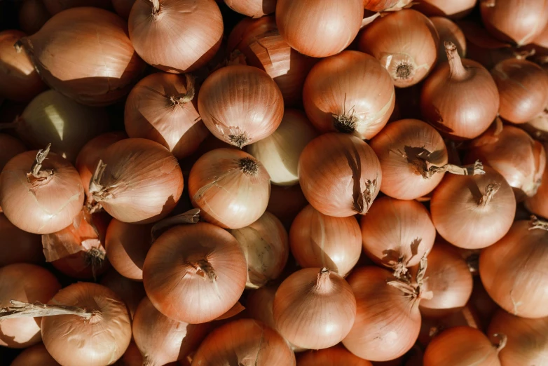 a pile of onions sitting on top of each other, by Carey Morris, trending on unsplash, fan favorite, beige, panels, 1 6 x 1 6