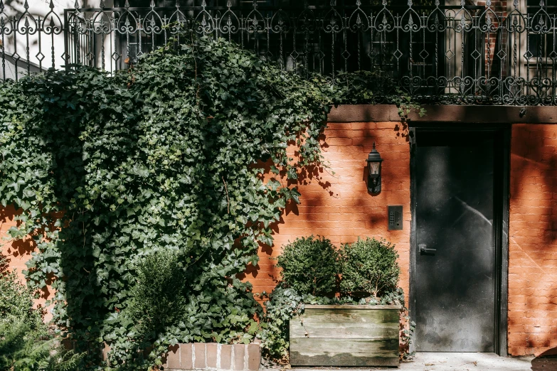 a fire hydrant sitting in front of a brick building, a photo, inspired by Elsa Bleda, pexels contest winner, arts and crafts movement, overgrown with lush vines, black and terracotta, lush brooklyn urban landscaping, leaning on door