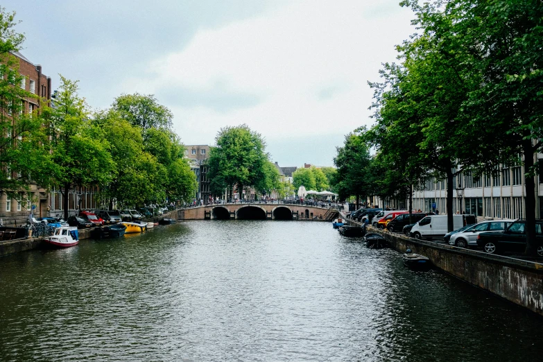 a river running through a city next to tall buildings, a photo, by Jan Tengnagel, pexels contest winner, canals, old bridge, lush surroundings, thumbnail