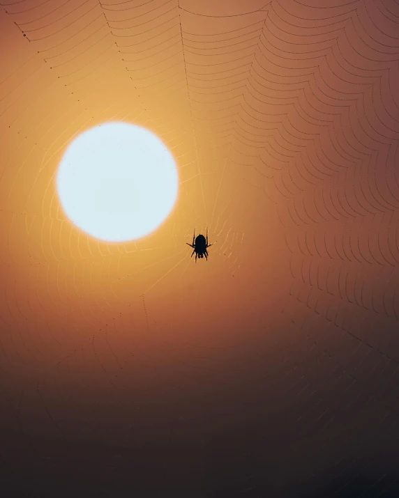 a spider that is sitting in the middle of a web, a screenshot, by Attila Meszlenyi, minimalism, as the sun sets on the horizon, ☁🌪🌙👩🏾, foggy photo 8 k, 3840 x 2160