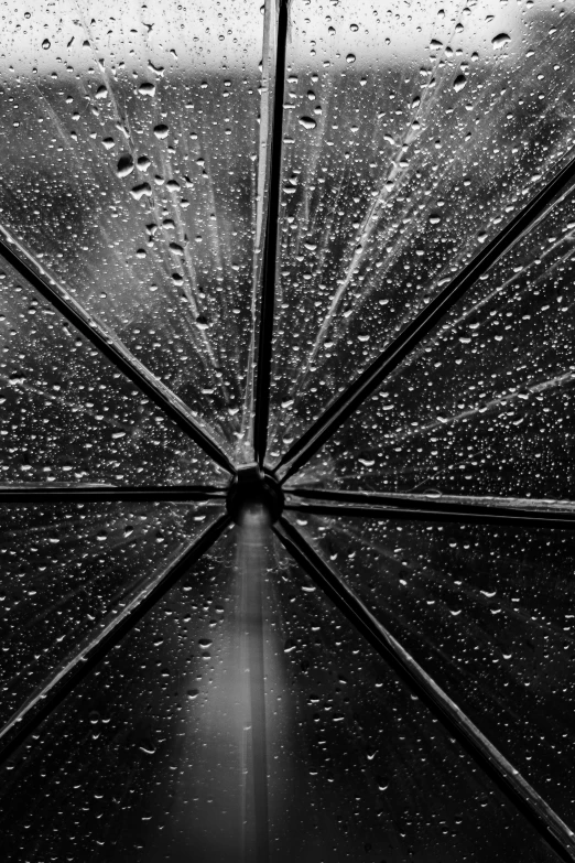 a black and white photo of a rain covered umbrella, by Dan Scott, ffffound, looking at the ceiling, drop of waters, window at the center