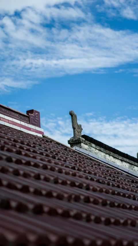 a man riding a skateboard on top of a roof, by Basuki Abdullah, unsplash, realism, roofing tiles texture, preserved historical, brown, small stature