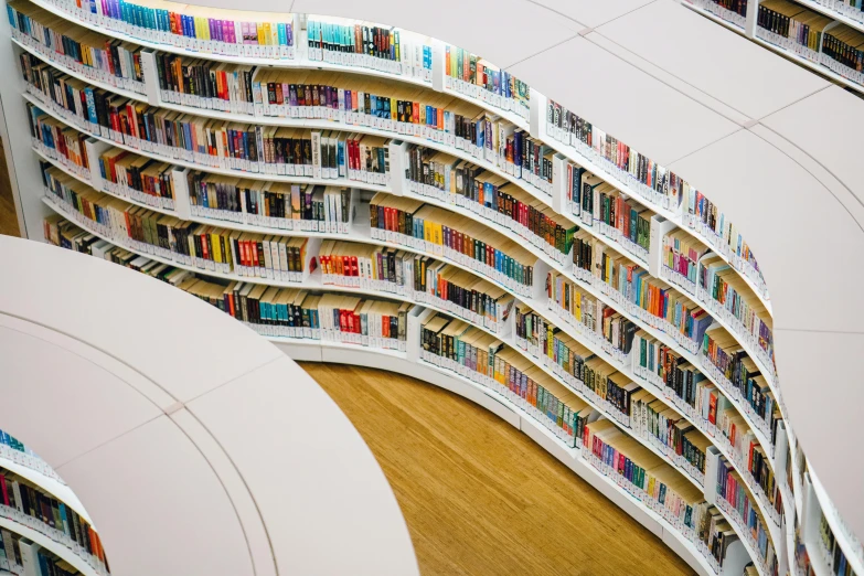 a library filled with lots of books sitting on top of a wooden floor, by Konrad Witz, pexels contest winner, modernism, curvy build, standing on a shelf, round-cropped, multicoloured