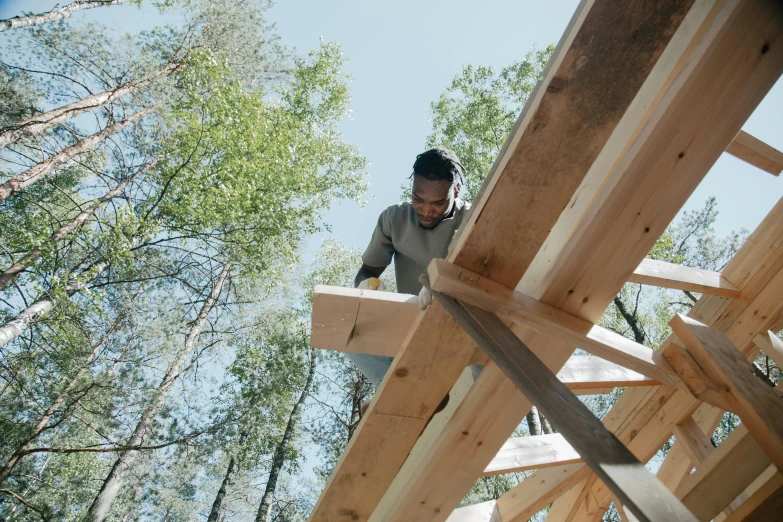 a man standing on top of a wooden structure, profile image, carpenter, roofed forest, thumbnail