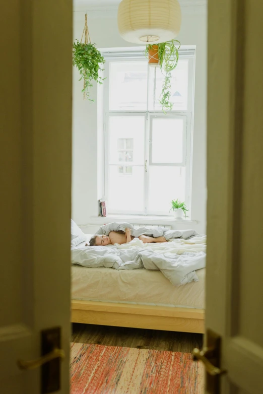 a person laying on a bed in a room, a picture, profile image, window sill with plants, white hue, bedhead