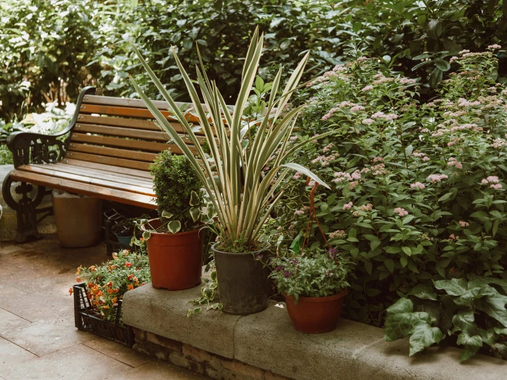 a wooden bench surrounded by potted plants, inspired by Thomas Struth, unsplash, arts and crafts movement, low quality photo, fan favorite, overgrown place, patio