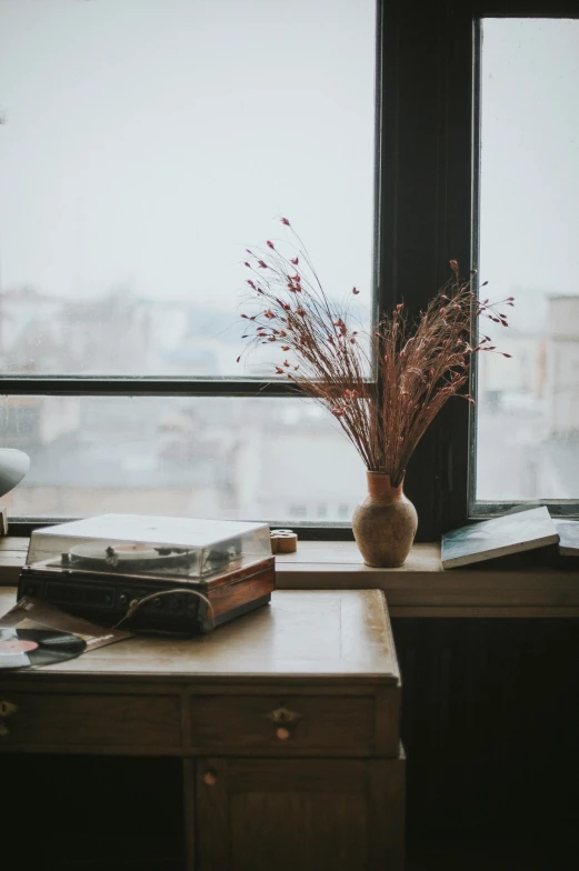 a vase sitting on top of a desk next to a window, inspired by Elsa Bleda, unsplash contest winner, turntables, dusty library, winter setting, old apartment