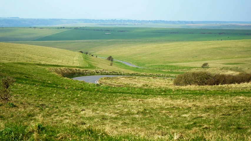 a herd of sheep standing on top of a lush green hillside, an album cover, flickr, roads among fields, looking onto the horizon, john pawson, flat curves