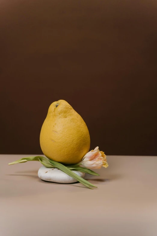 a lemon sitting on top of a white plate, a still life, inspired by Sarah Lucas, unsplash, ikebana, stone sculpture, big pear-shaped head, looking to the side off camera