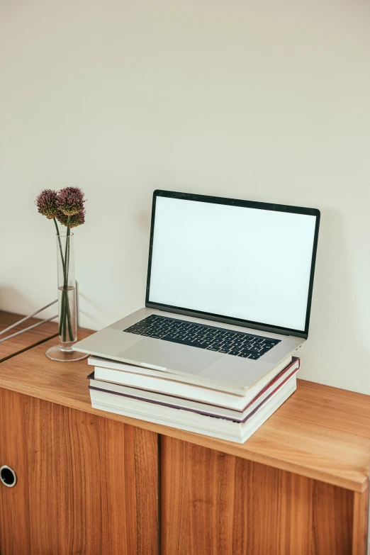 a laptop computer sitting on top of a wooden desk, by Carey Morris, short bookshelf, evenly spaced, blooming, server in the middle