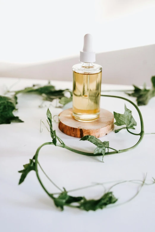 a bottle of oil sitting on top of a table, by Matija Jama, trending on pexels, renaissance, made of vines, skincare, on white, hanging