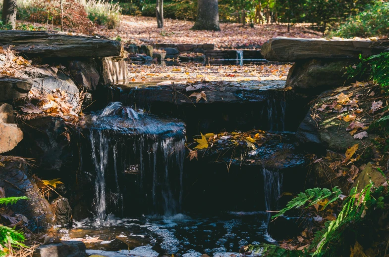 a small waterfall in the middle of a forest, by Carey Morris, unsplash, sculpture gardens, late autumn, 90's photo, terraced orchards and ponds