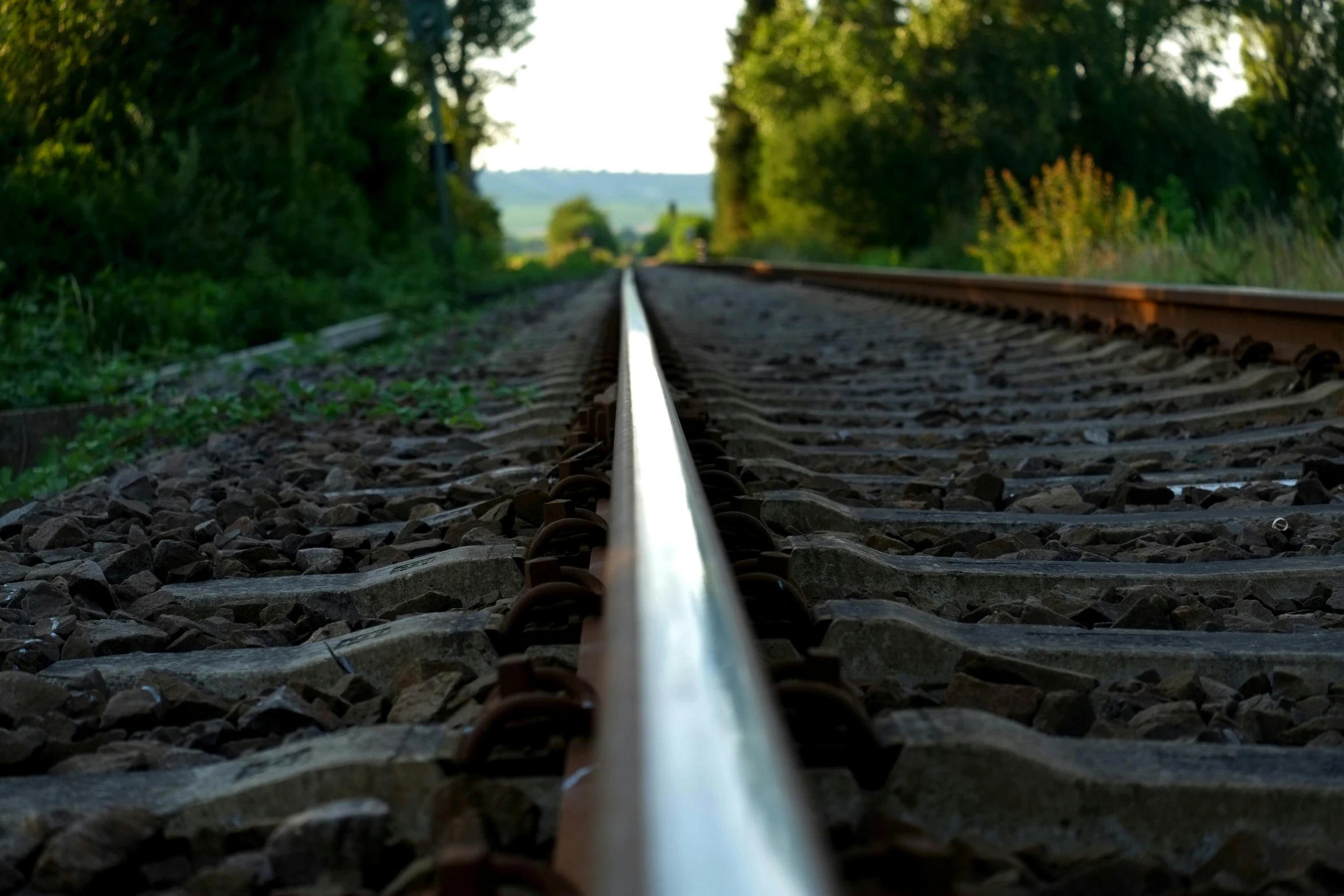 a close up of a train track with trees in the background, rule-of-thirds, profile picture 1024px, looking into the horizon, concise lines