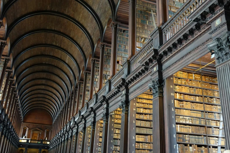 a long room filled with lots of books, by Tom Wänerstrand, unsplash contest winner, renaissance, book of kells, thumbnail, sweeping arches, listing image