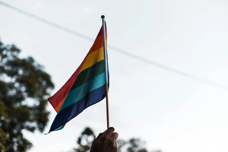 a person holding a rainbow flag in their hand, trending on unsplash, hurufiyya, long trunk holding a wand, straya, parade, profile image
