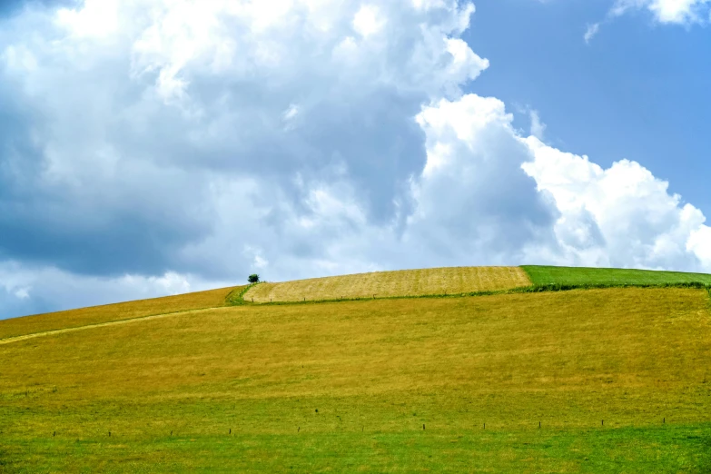 a lone tree sitting on top of a lush green hillside, pexels contest winner, color field, under blue clouds, minimalist lines, field of hay, minimalist photorealist