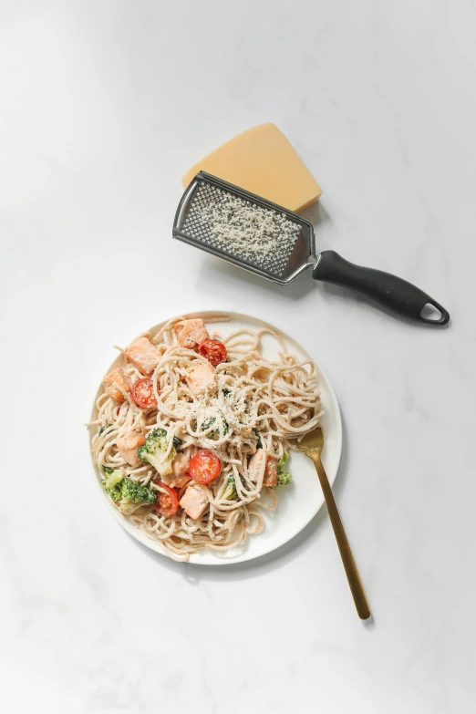 a plate of spaghetti with broccoli and tomatoes, reddit, textured base ; product photos, spatula, salmon, unframed