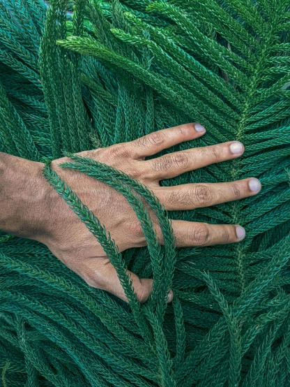 a person holding a bunch of green rope, an album cover, inspired by Elsa Bleda, land art, ignant, palm skin, close - up photo, black fir